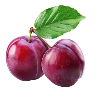 Fresh & Organic Red  Plum
